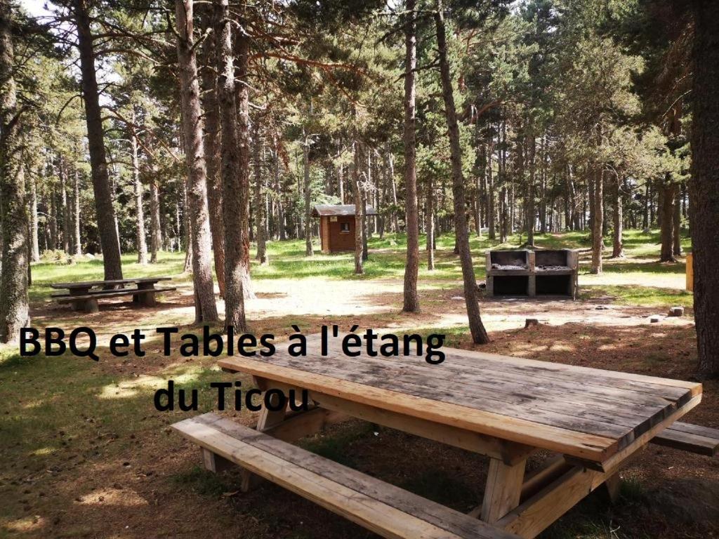 Apt Confortable Au Pied Des Pistes Et De La Foret Bolquere Pyrenees 2000 Exteriér fotografie